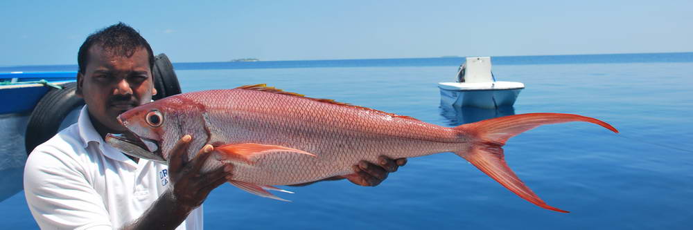 Lov albul-bonefish, tarponů a permitů na Los Roques - zahl-354.jpg