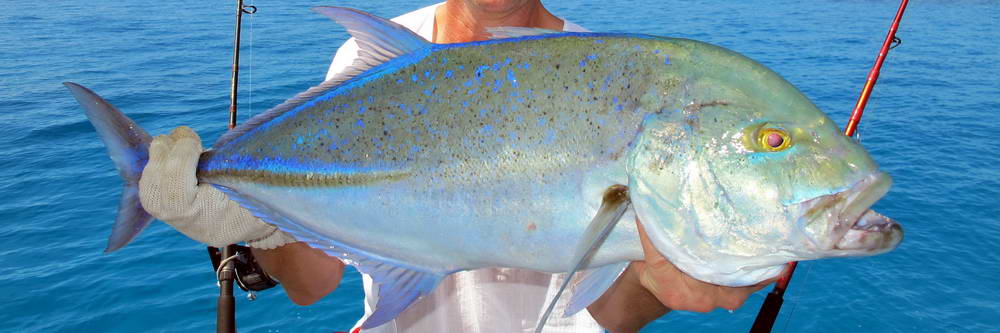 Lov albul-bonefish, tarponů a permitů na Los Roques - zahl-373.jpg