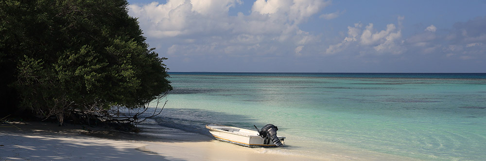 Lov albul-bonefish, tarponů a permitů na Los Roques - zahl-428.jpg