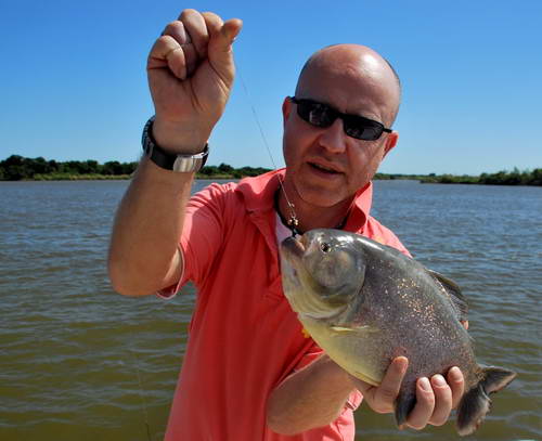 pirana - palometa z reky Parana