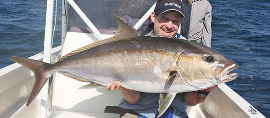 kranas amberjack - seriola, uloven na jig